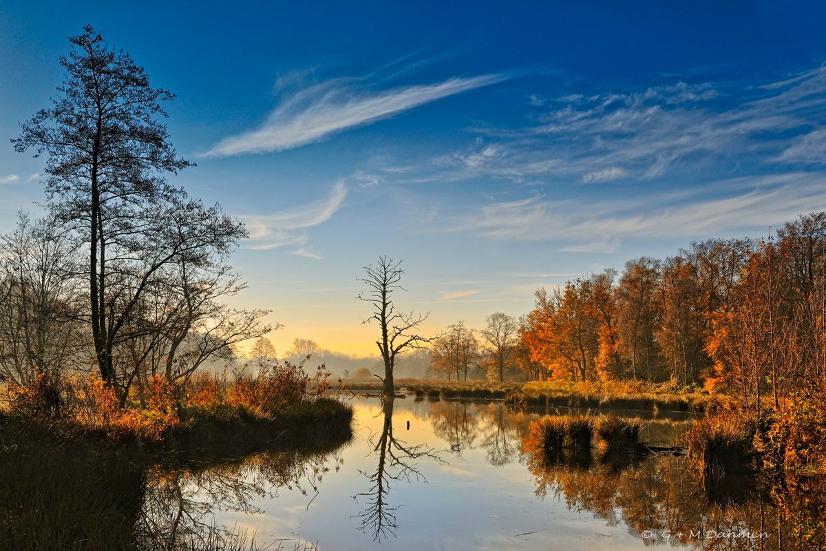 De Wittsee